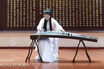 第八屆中國(guó)(國(guó)際)器樂(lè)文化藝術(shù)節(jié)南陽(yáng)站演出活動(dòng)圓滿舉行，助推文化藝術(shù)交流新篇章